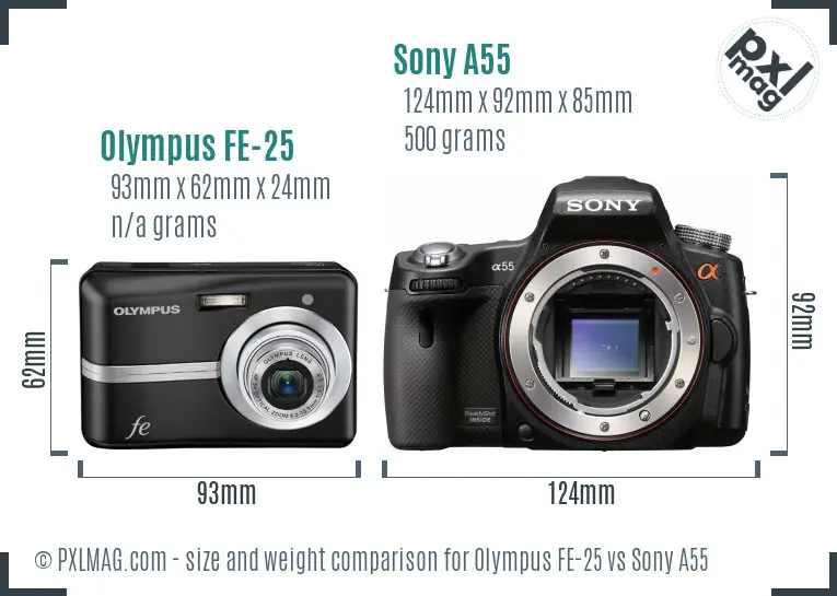 Olympus FE-25 vs Sony A55 size comparison