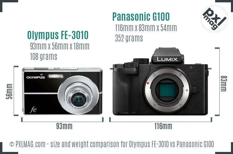 Olympus FE-3010 vs Panasonic G100 size comparison