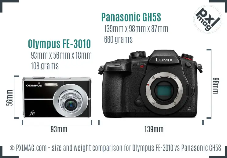 Olympus FE-3010 vs Panasonic GH5S size comparison