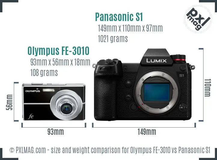 Olympus FE-3010 vs Panasonic S1 size comparison