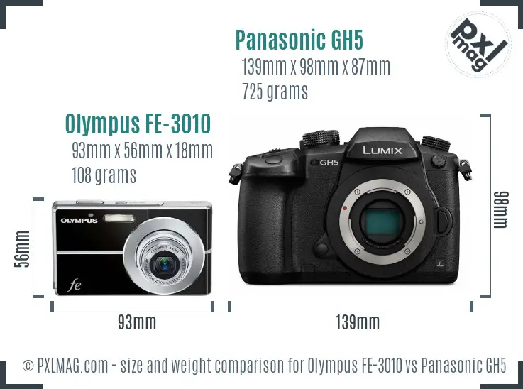 Olympus FE-3010 vs Panasonic GH5 size comparison