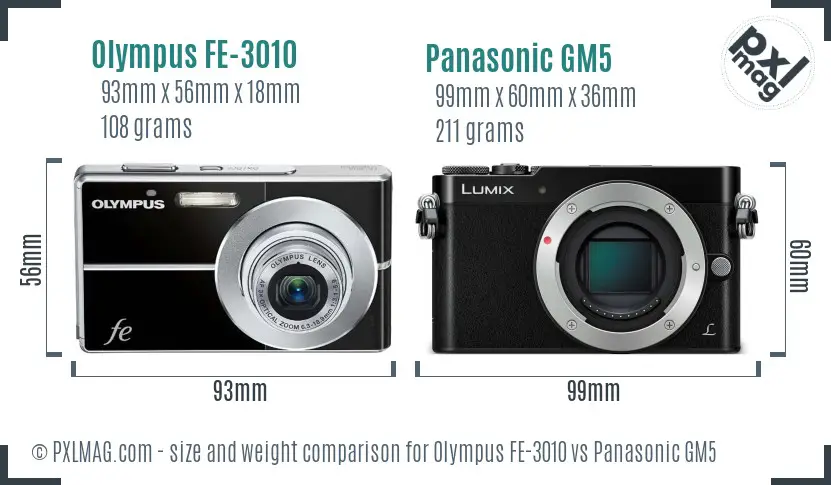 Olympus FE-3010 vs Panasonic GM5 size comparison