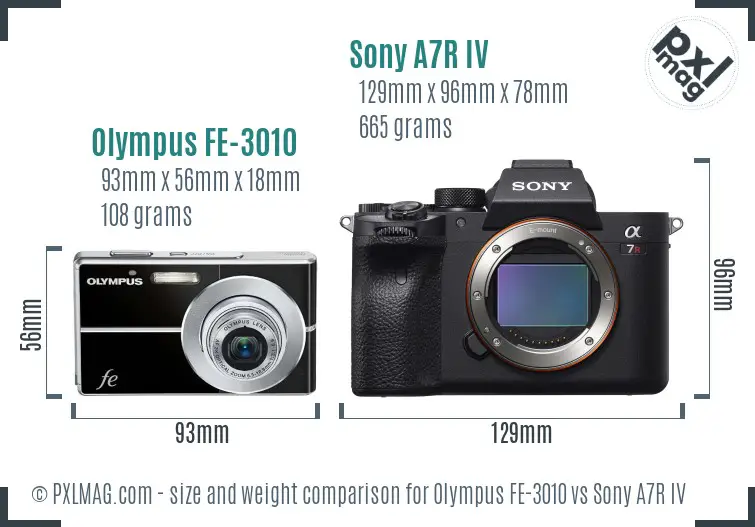 Olympus FE-3010 vs Sony A7R IV size comparison