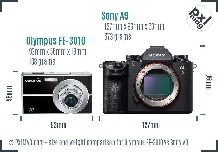 Olympus FE-3010 vs Sony A9 size comparison