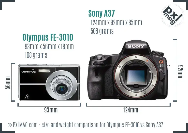 Olympus FE-3010 vs Sony A37 size comparison