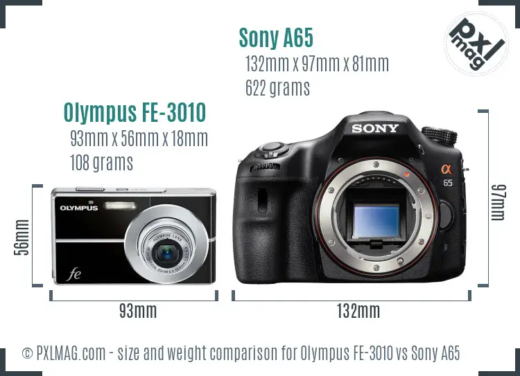 Olympus FE-3010 vs Sony A65 size comparison