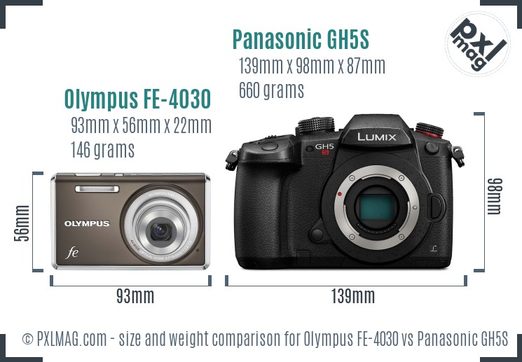 Olympus FE-4030 vs Panasonic GH5S size comparison