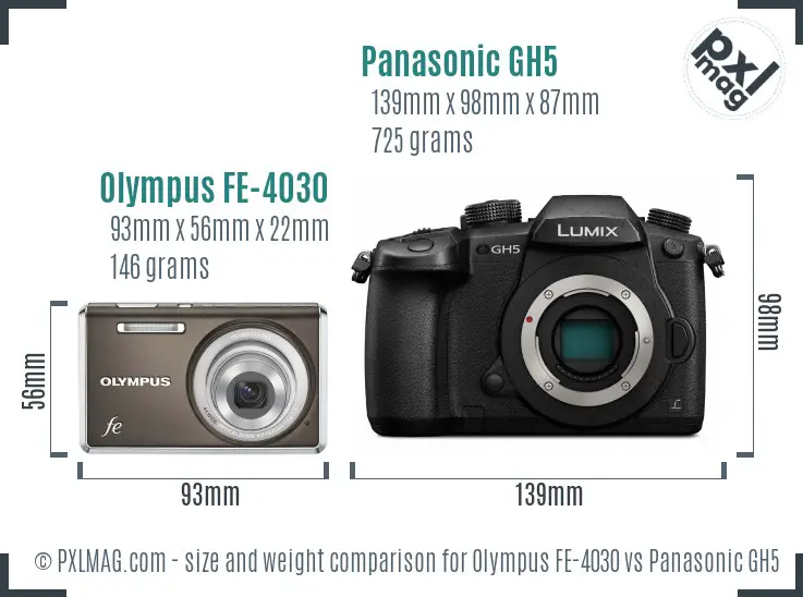 Olympus FE-4030 vs Panasonic GH5 size comparison