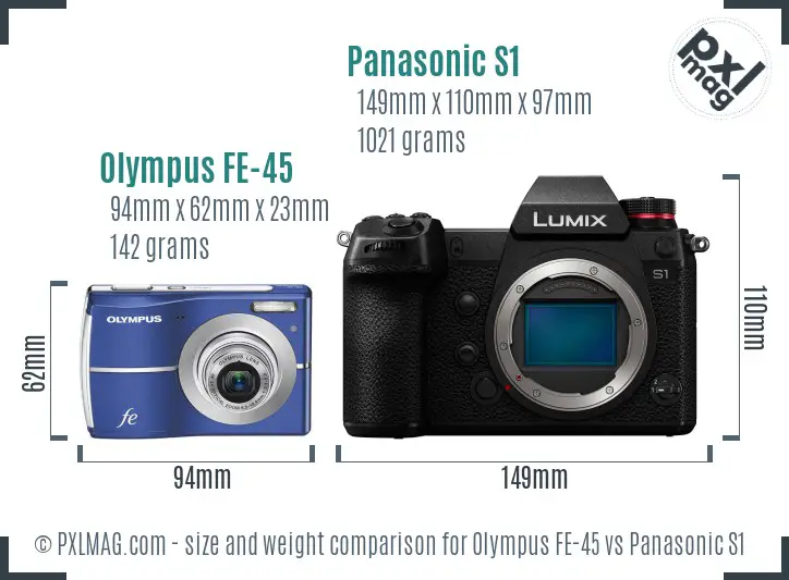 Olympus FE-45 vs Panasonic S1 size comparison