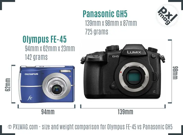 Olympus FE-45 vs Panasonic GH5 size comparison