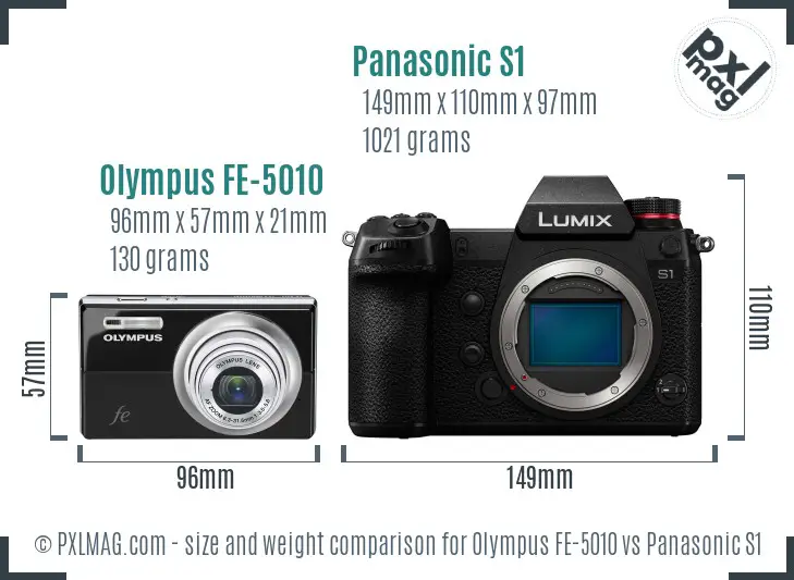 Olympus FE-5010 vs Panasonic S1 size comparison