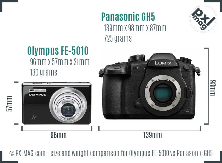 Olympus FE-5010 vs Panasonic GH5 size comparison