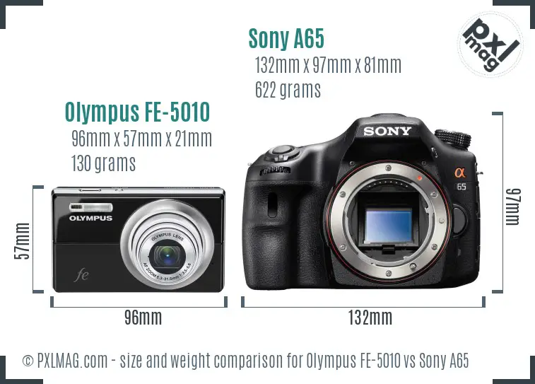 Olympus FE-5010 vs Sony A65 size comparison