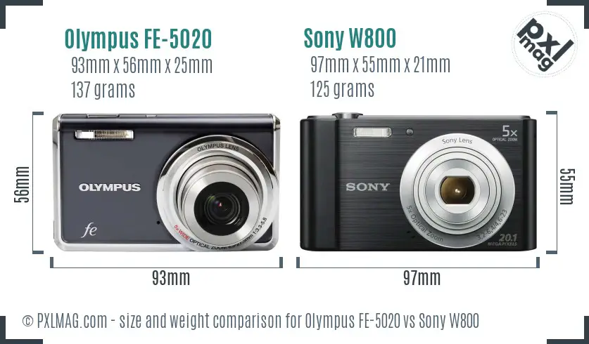 Olympus FE-5020 vs Sony W800 size comparison