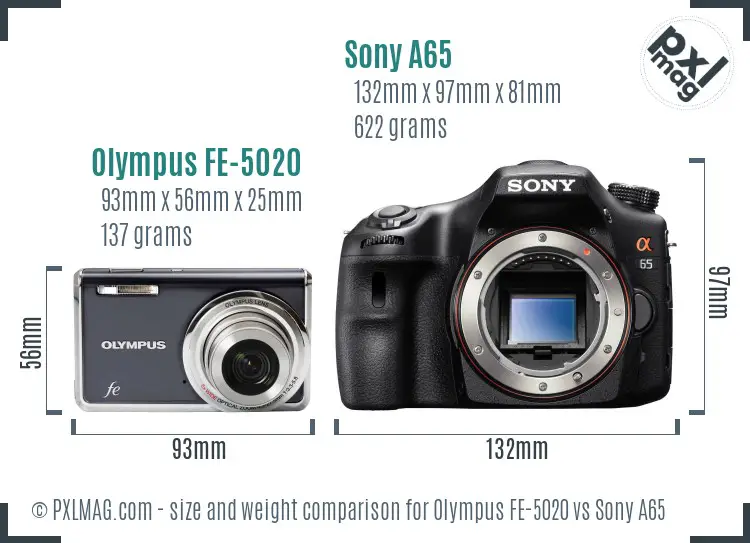 Olympus FE-5020 vs Sony A65 size comparison
