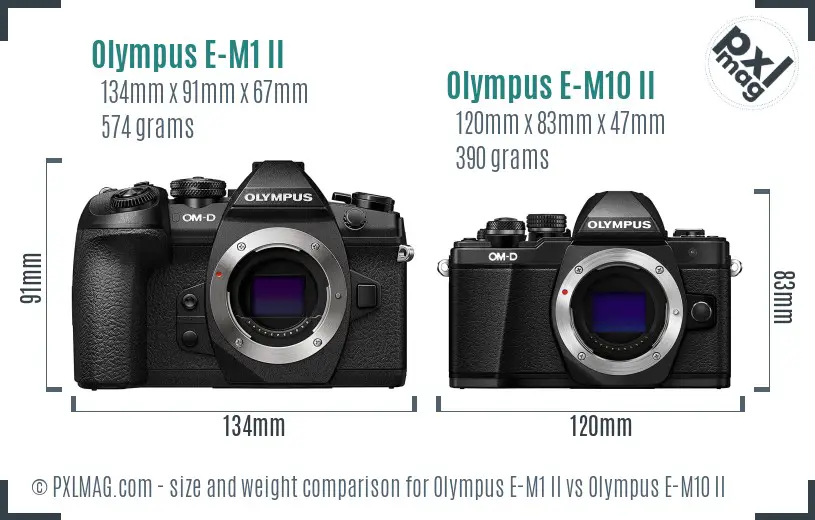 Olympus E-M1 II vs Olympus E-M10 II size comparison