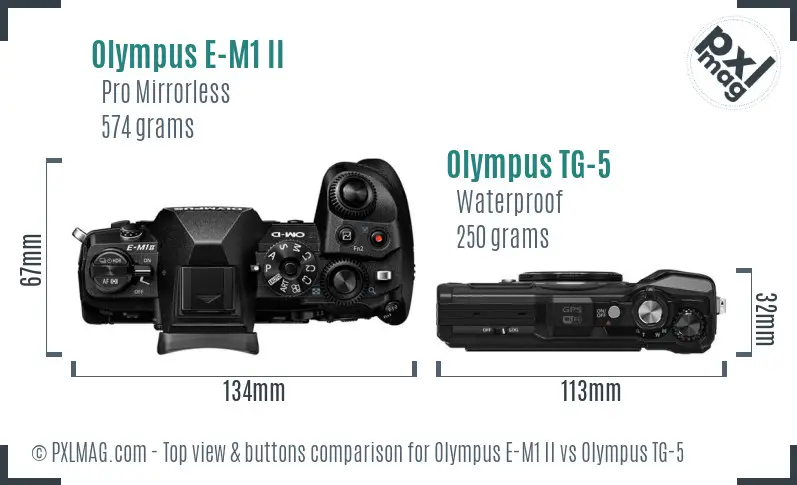 Olympus E-M1 II vs Olympus TG-5 top view buttons comparison