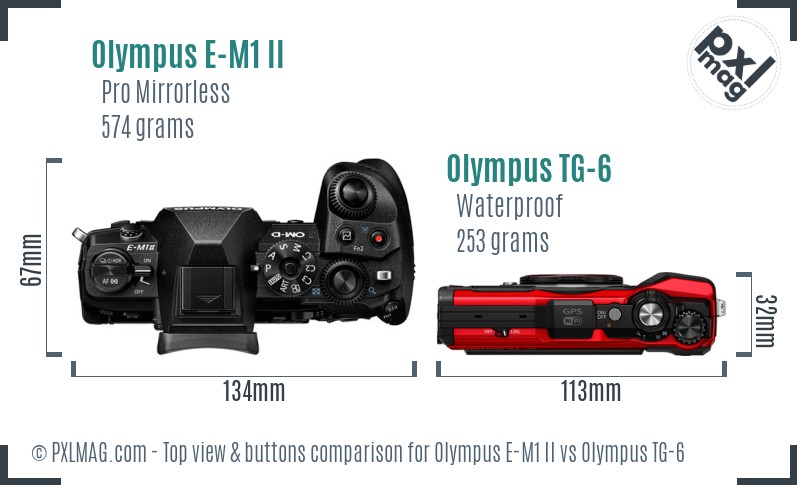 Olympus E-M1 II vs Olympus TG-6 top view buttons comparison