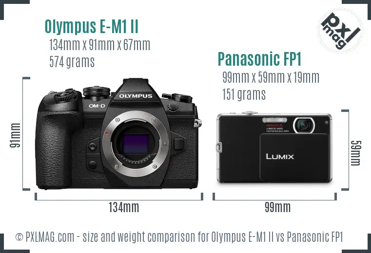 Olympus E-M1 II vs Panasonic FP1 size comparison