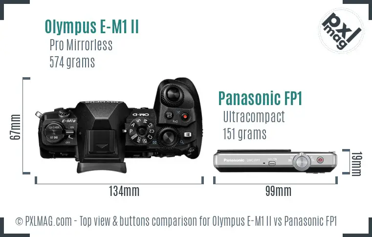 Olympus E-M1 II vs Panasonic FP1 top view buttons comparison