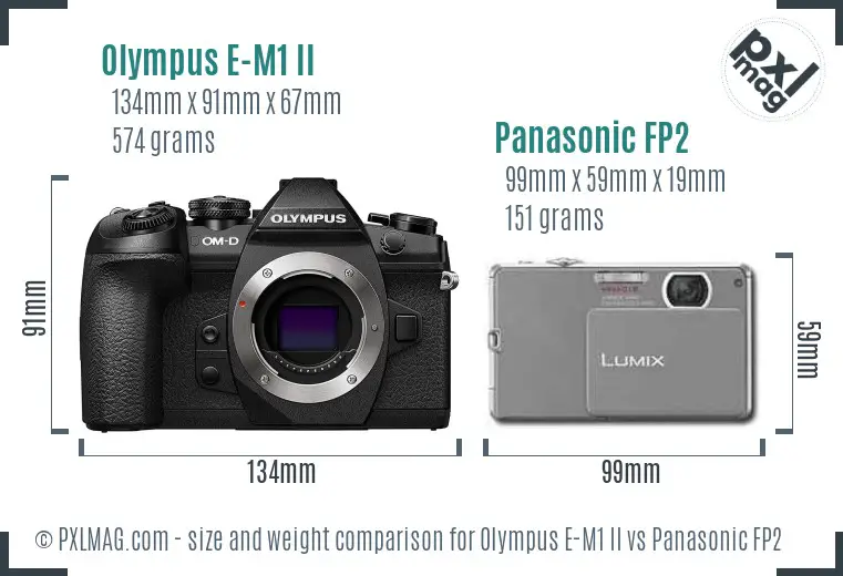 Olympus E-M1 II vs Panasonic FP2 size comparison