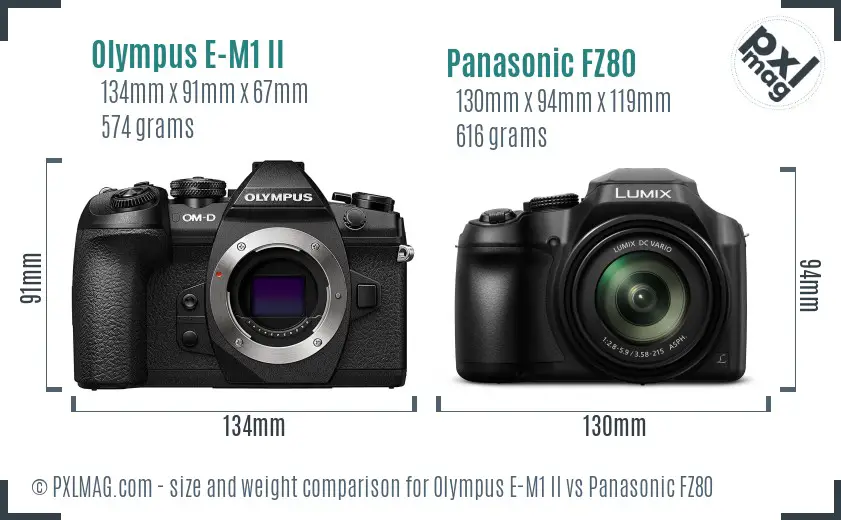 Olympus E-M1 II vs Panasonic FZ80 size comparison