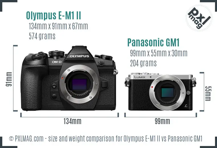 Olympus E-M1 II vs Panasonic GM1 size comparison