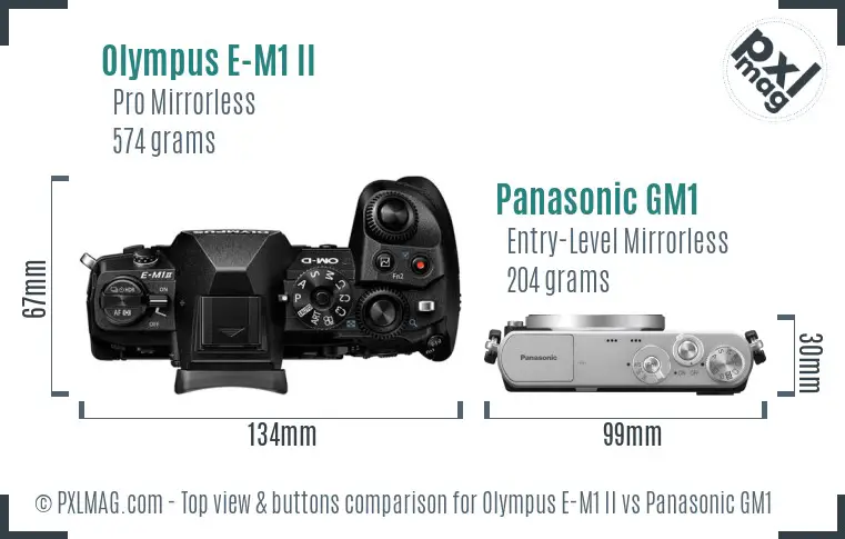 Olympus E-M1 II vs Panasonic GM1 top view buttons comparison