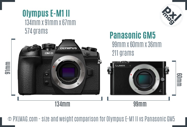 Olympus E-M1 II vs Panasonic GM5 size comparison