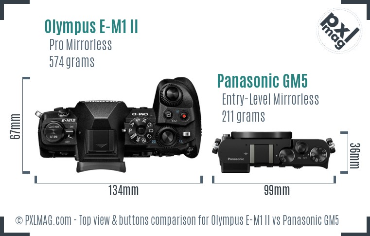 Olympus E-M1 II vs Panasonic GM5 top view buttons comparison