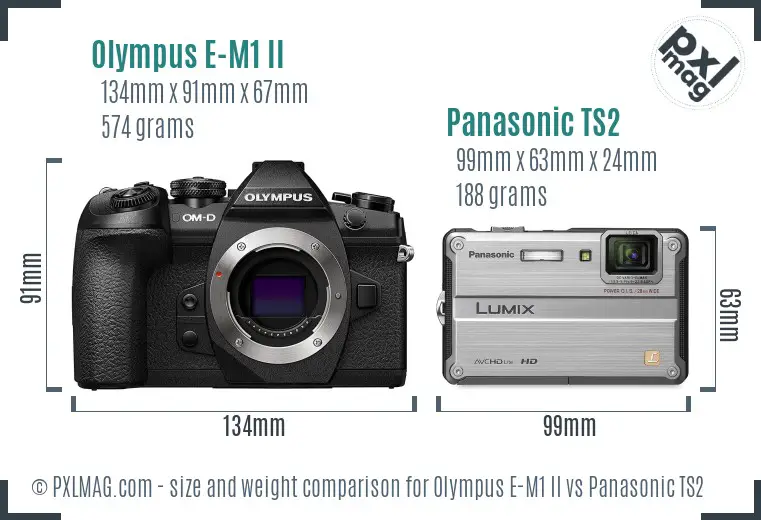 Olympus E-M1 II vs Panasonic TS2 size comparison