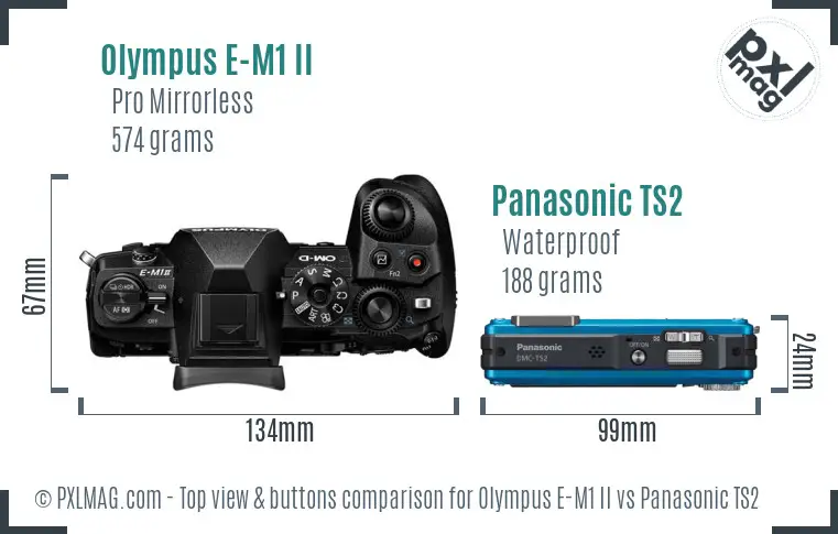 Olympus E-M1 II vs Panasonic TS2 top view buttons comparison