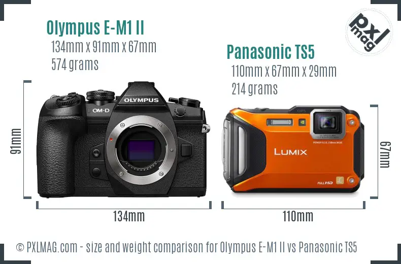 Olympus E-M1 II vs Panasonic TS5 size comparison