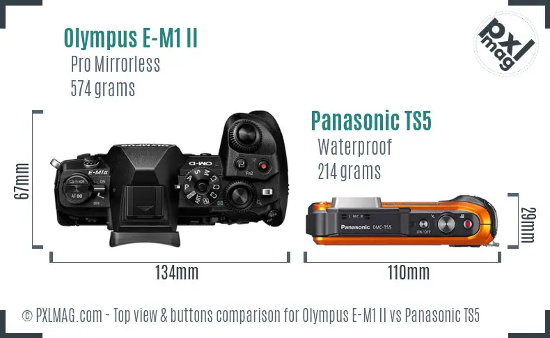 Olympus E-M1 II vs Panasonic TS5 top view buttons comparison