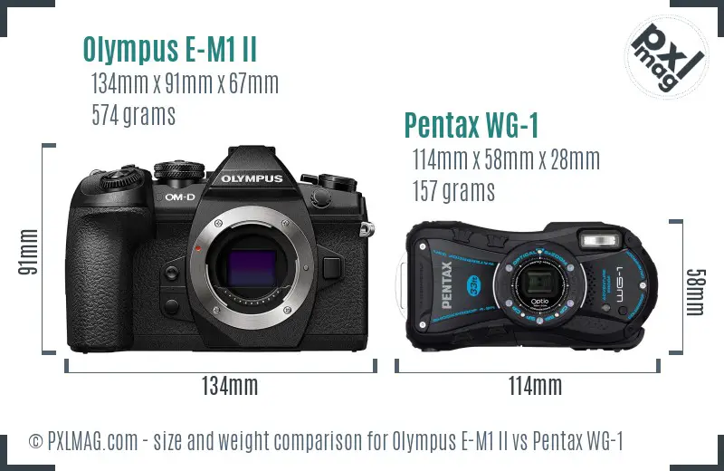 Olympus E-M1 II vs Pentax WG-1 size comparison