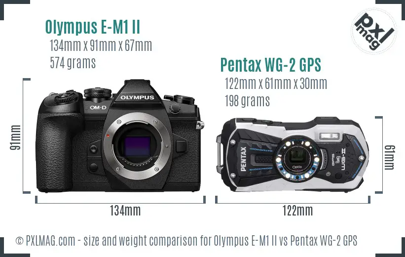 Olympus E-M1 II vs Pentax WG-2 GPS size comparison