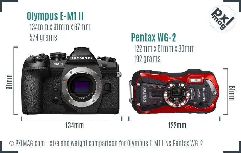 Olympus E-M1 II vs Pentax WG-2 size comparison