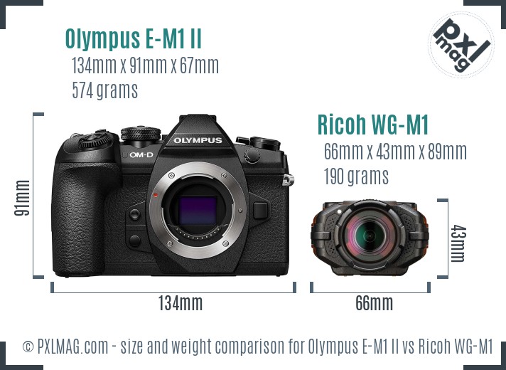 Olympus E-M1 II vs Ricoh WG-M1 size comparison