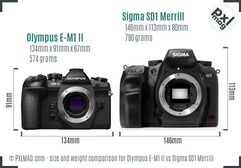 Olympus E-M1 II vs Sigma SD1 Merrill size comparison Olympus E-M1 II vs Sigma SD1 Merrill size comparison