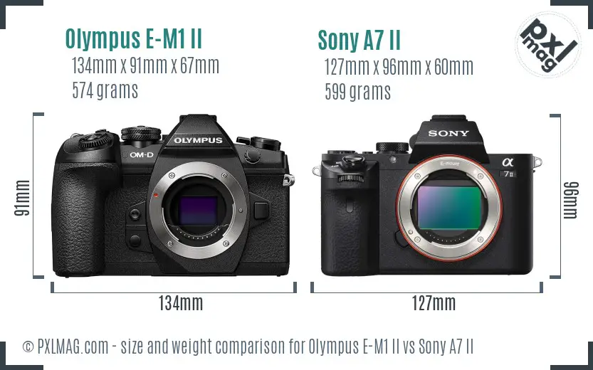 Olympus E-M1 II vs Sony A7 II size comparison