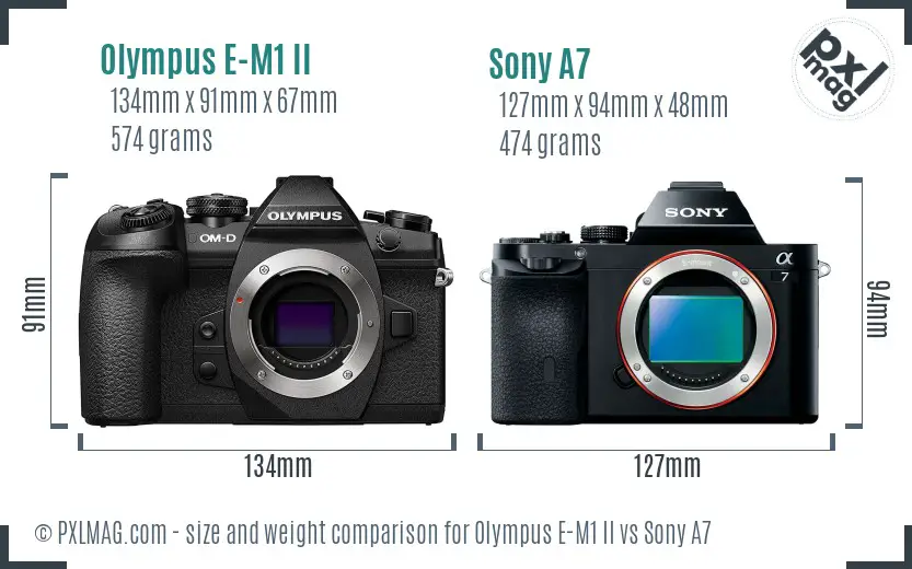 Olympus E-M1 II vs Sony A7 size comparison