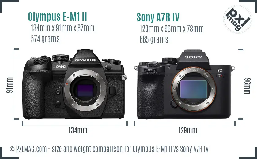 Olympus E-M1 II vs Sony A7R IV size comparison
