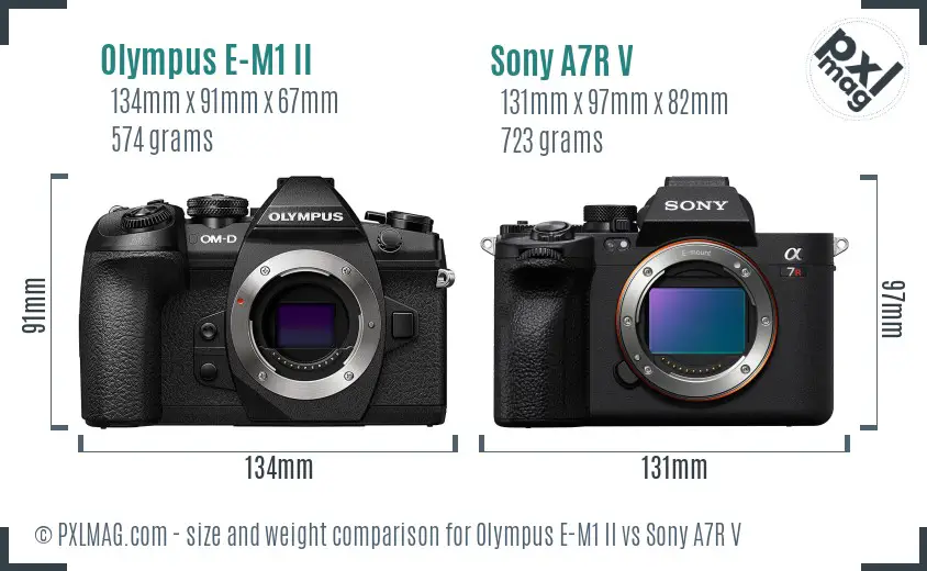Olympus E-M1 II vs Sony A7R V size comparison