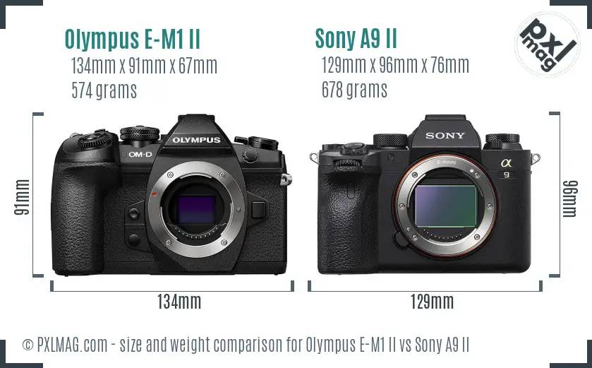 Olympus E-M1 II vs Sony A9 II size comparison