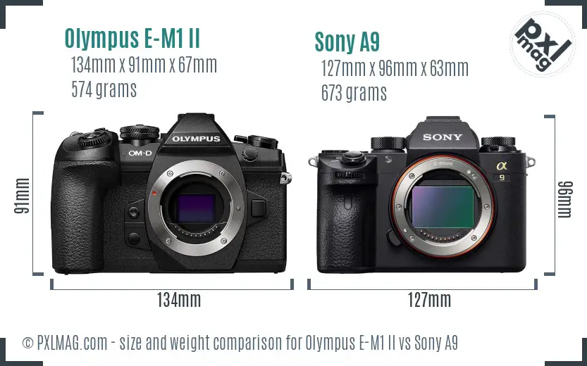 Olympus E-M1 II vs Sony A9 size comparison