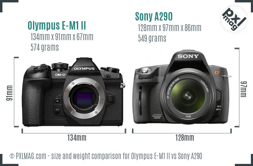Olympus E-M1 II vs Sony A290 size comparison