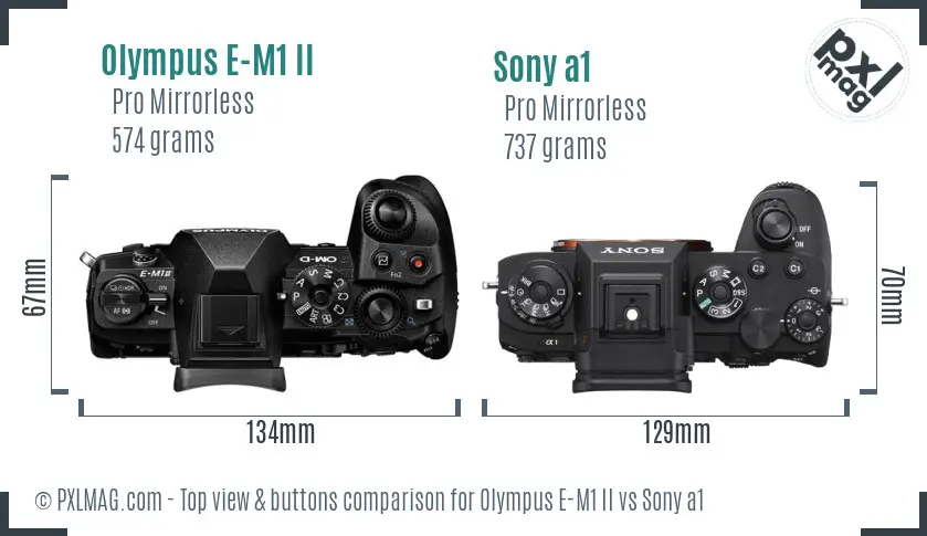Olympus E-M1 II vs Sony a1 top view buttons comparison