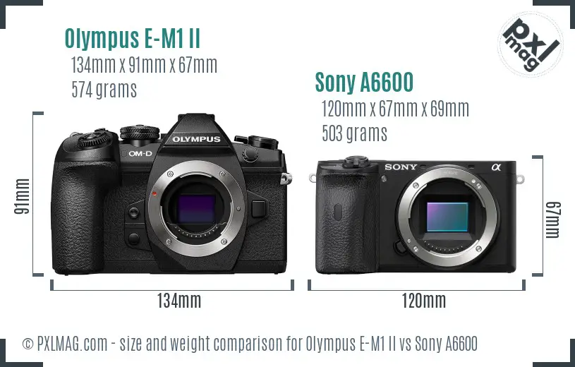 Olympus E-M1 II vs Sony A6600 size comparison