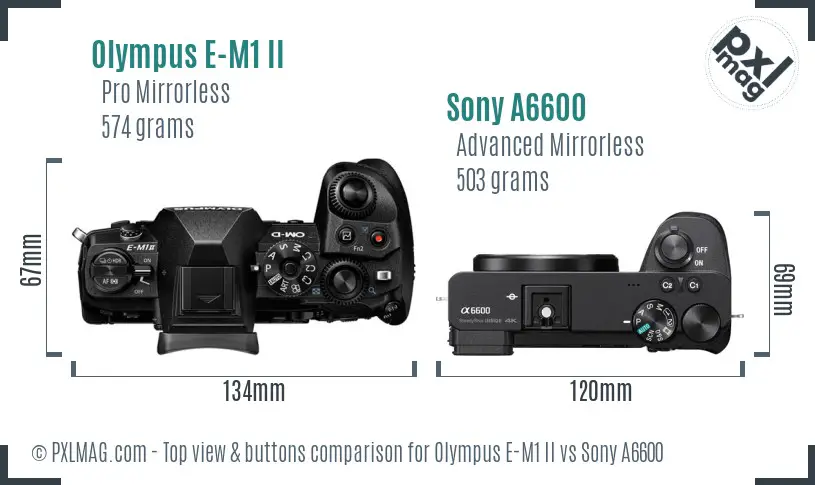 Olympus E-M1 II vs Sony A6600 top view buttons comparison