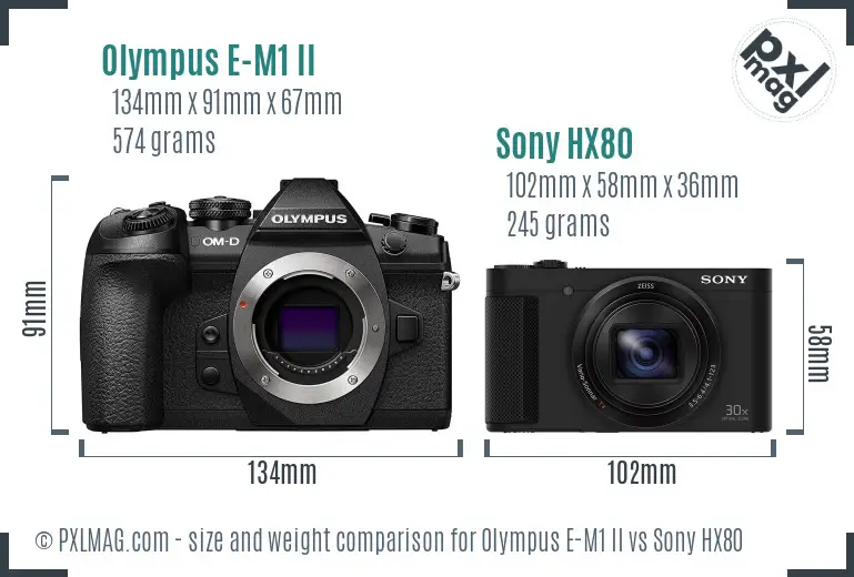 Olympus E-M1 II vs Sony HX80 size comparison